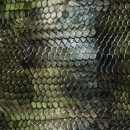 Snake Skin Seamless Texture - Photo #808 - Premium Textures - Free and ...